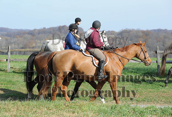 AndrewsBr(11-9-14)0250
