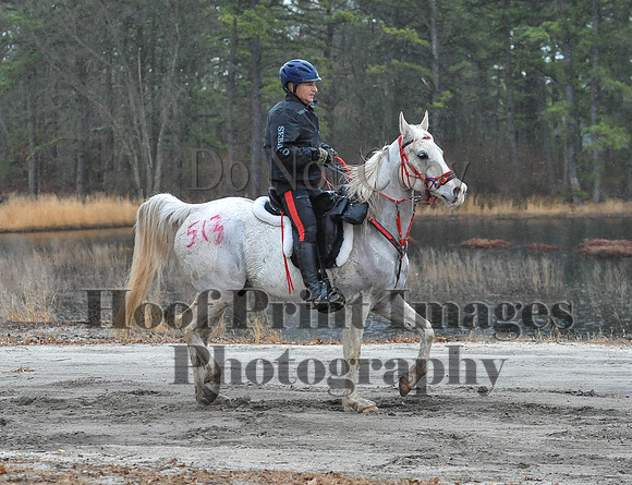 Rabbit(3-29-14)0134
