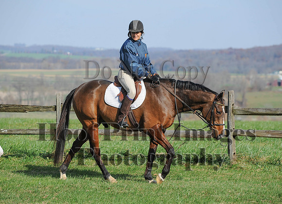 AndrewsBr(11-9-14)0161
