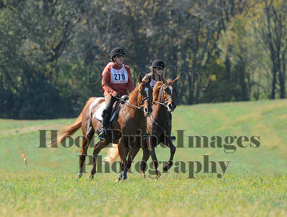 Cheshire(10-20-13)0287
