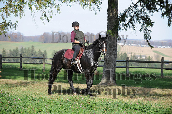 AndrewsBr(11-9-14)0198