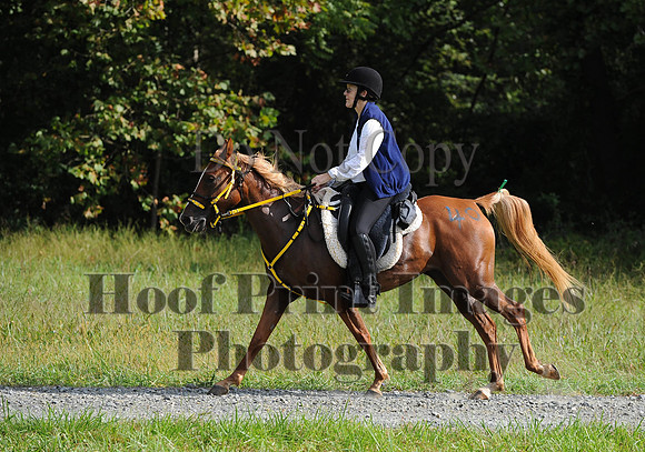 ChesapeakeCTR(9-20-14)0248