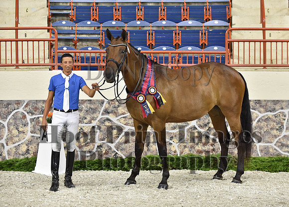 CWdressageI(8-20-16)1709