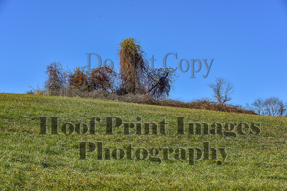 FairHillFallPC(11-30-24)0466