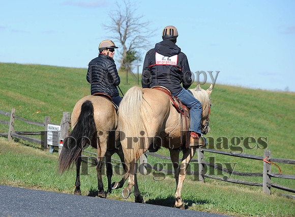 Cheshire(10-19-14)0240