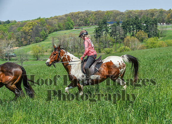CheshireSpringPC1(4-28-24)0467