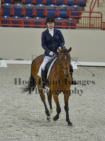 CWdressageI(8-20-16)0257