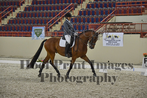 CWdressageI(8-20-16)1161