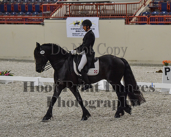 CWdressageII(8-21-16)0595