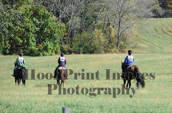 Cheshire(10-19-14)0068