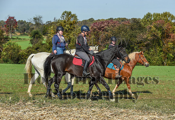 CheshirePC(10-18-20)0396