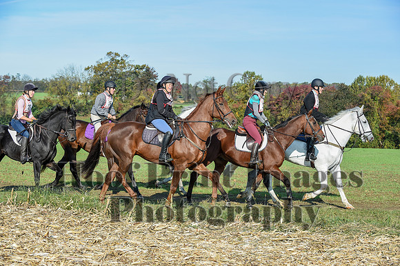 CheshirePC(10-18-20)0013