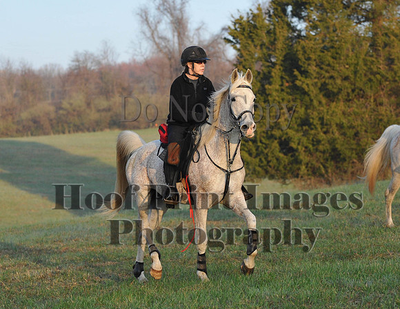 Foxcatcher(4-12-14)0226