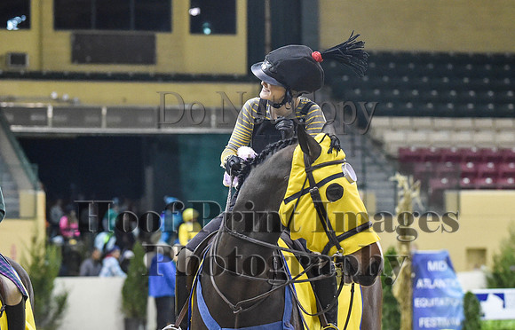MidAtEqFest(11-14-15)1435