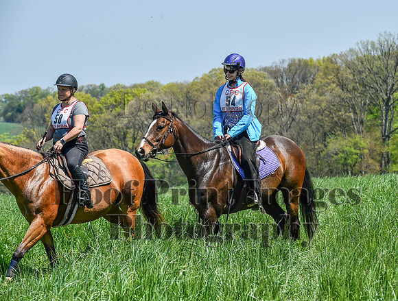 CheshireSpringPC1(4-28-24)0472