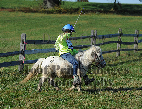 Cheshire(10-19-14)0533