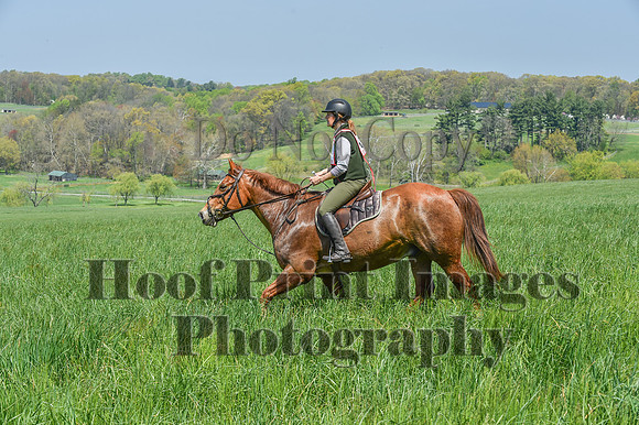 CheshireSpringPC1(4-28-24)0285