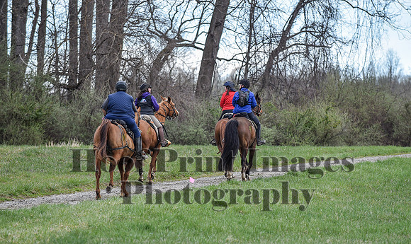 ChesapeakeSpring(4-10-22)0204