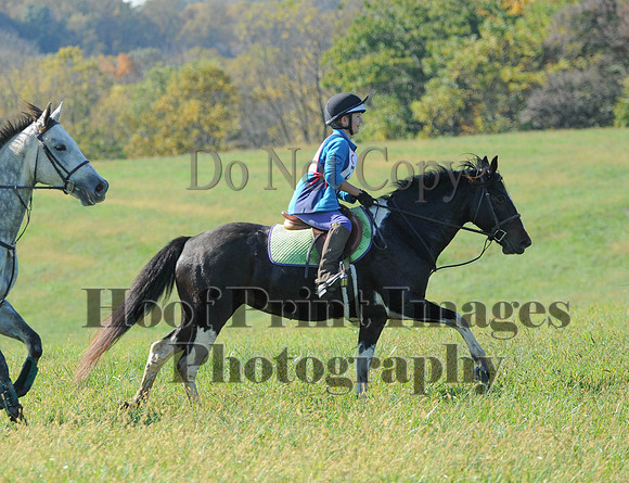 Cheshire(10-20-13)0692