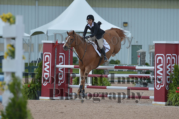 BRSa(5-17-14)HChAdJ0140
