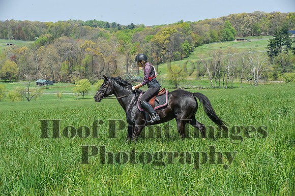 CheshireSpringPC1(4-28-24)0490