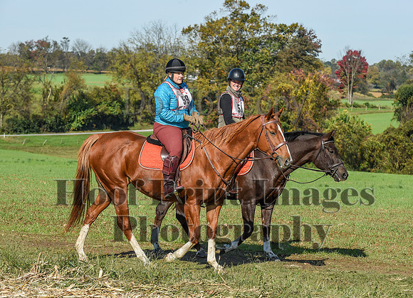 CheshirePC(10-18-20)0205