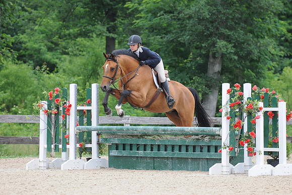 SL(6-21-14)ModAdtHun0027