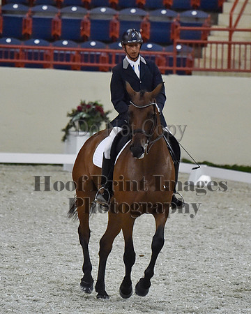 CWdressageII(8-21-16)2269