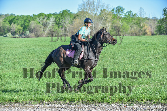 ChesapeakeSpring(4-27-25)0195