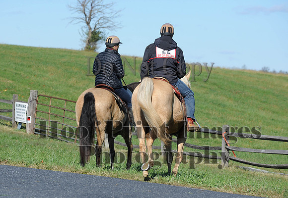 Cheshire(10-19-14)0241