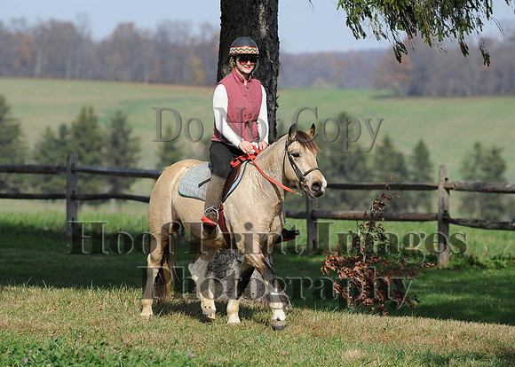 AndrewsBr(11-9-14)0064