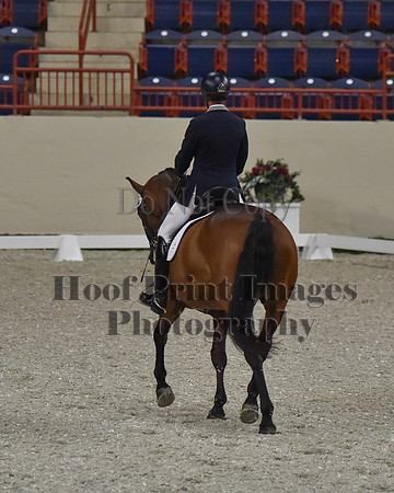 CWdressageII(8-21-16)1560