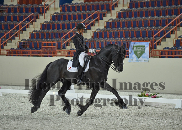 CWdressageI(8-20-16)1665