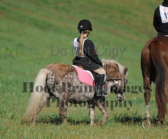 Cheshire(10-20-13)0639