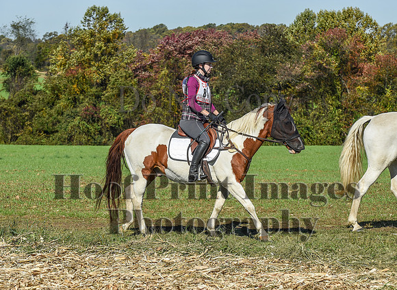 CheshirePC(10-18-20)0400