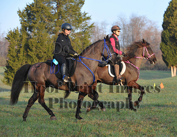 Foxcatcher(4-12-14)0264