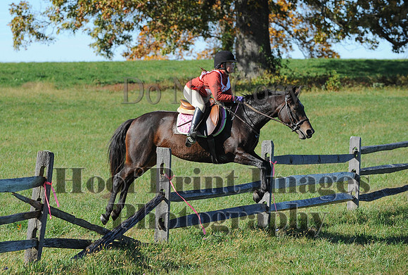 Cheshire(10-19-14)0485