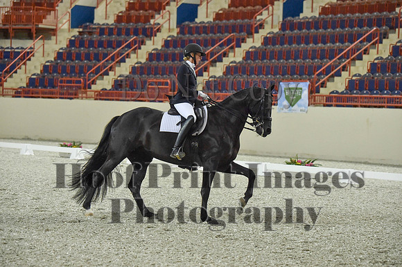 CWdressageI(8-20-16)0962