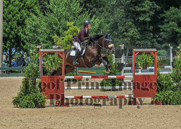 Mason-Dixon1(7-28-18)0457