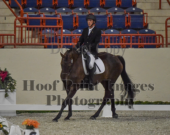 CWdressageII(8-21-16)0369