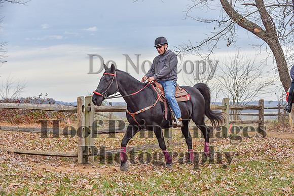 AndrewsBrHuntPace(11-10-24)0137