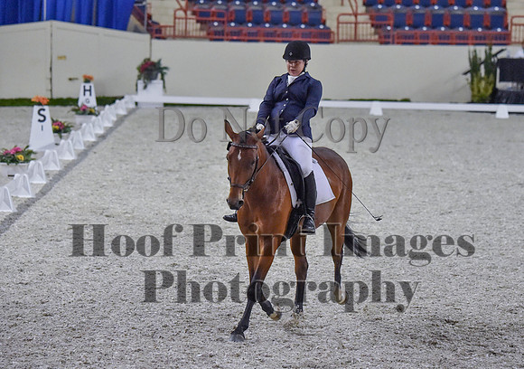 CWdressageI(8-20-16)0393