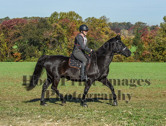 CheshirePC(10-18-20)0191