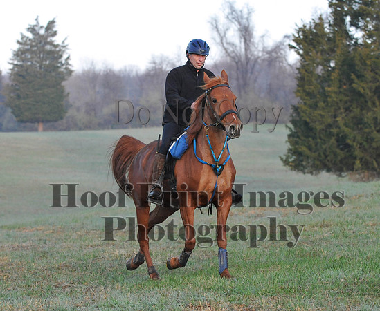 Foxcatcher(4-12-14)0168
