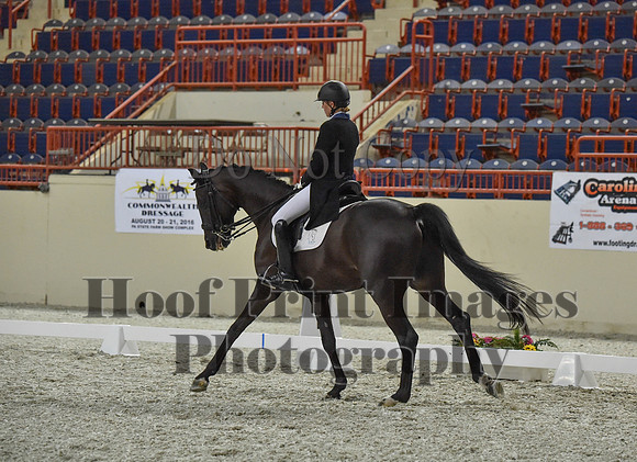 CWdressageI(8-20-16)1470