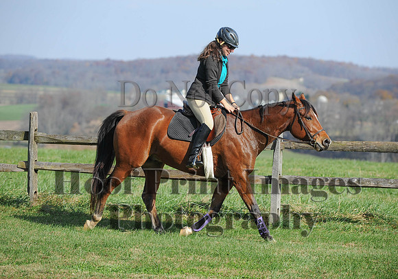 AndrewsBr(11-9-14)0101