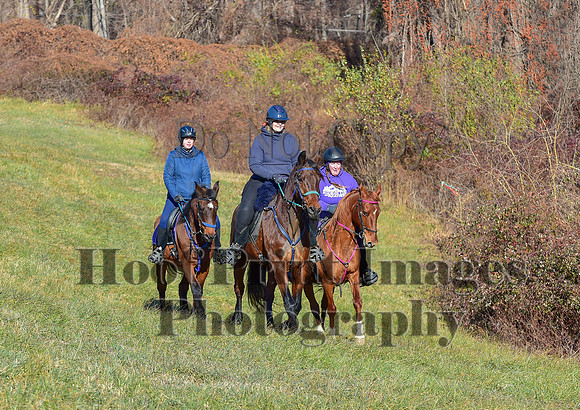 FairHillFallPC(11-30-24)0271