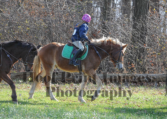 AndrewsBr(11-9-14)0195