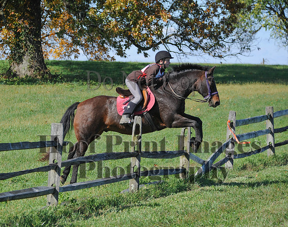 Cheshire(10-20-13)0495