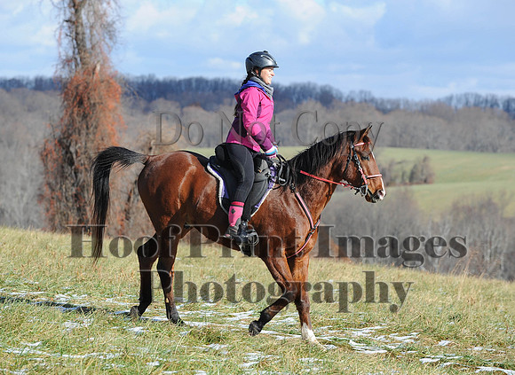 FairHill(11-28-14)0017